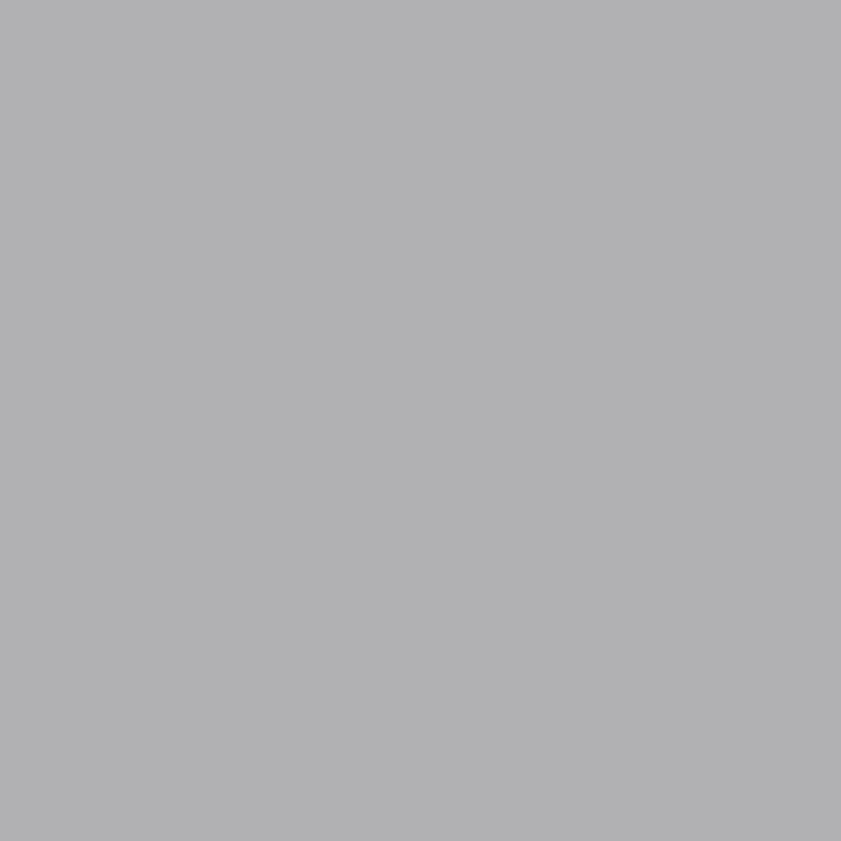 msh-mitarbeiter